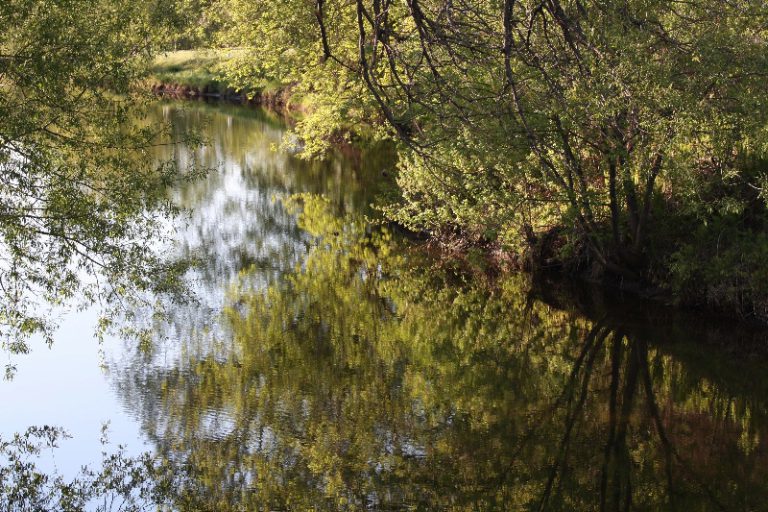 Paysage de Lawrenceville — photo Charles Vincent