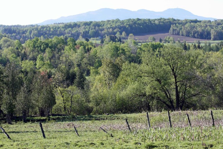 Vue sur le Mont-Orford — photo Charles Vincent