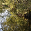 Rivière Noire 1