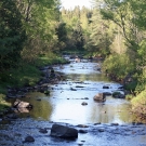 Rivière Noire 2