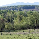 Mont Orford